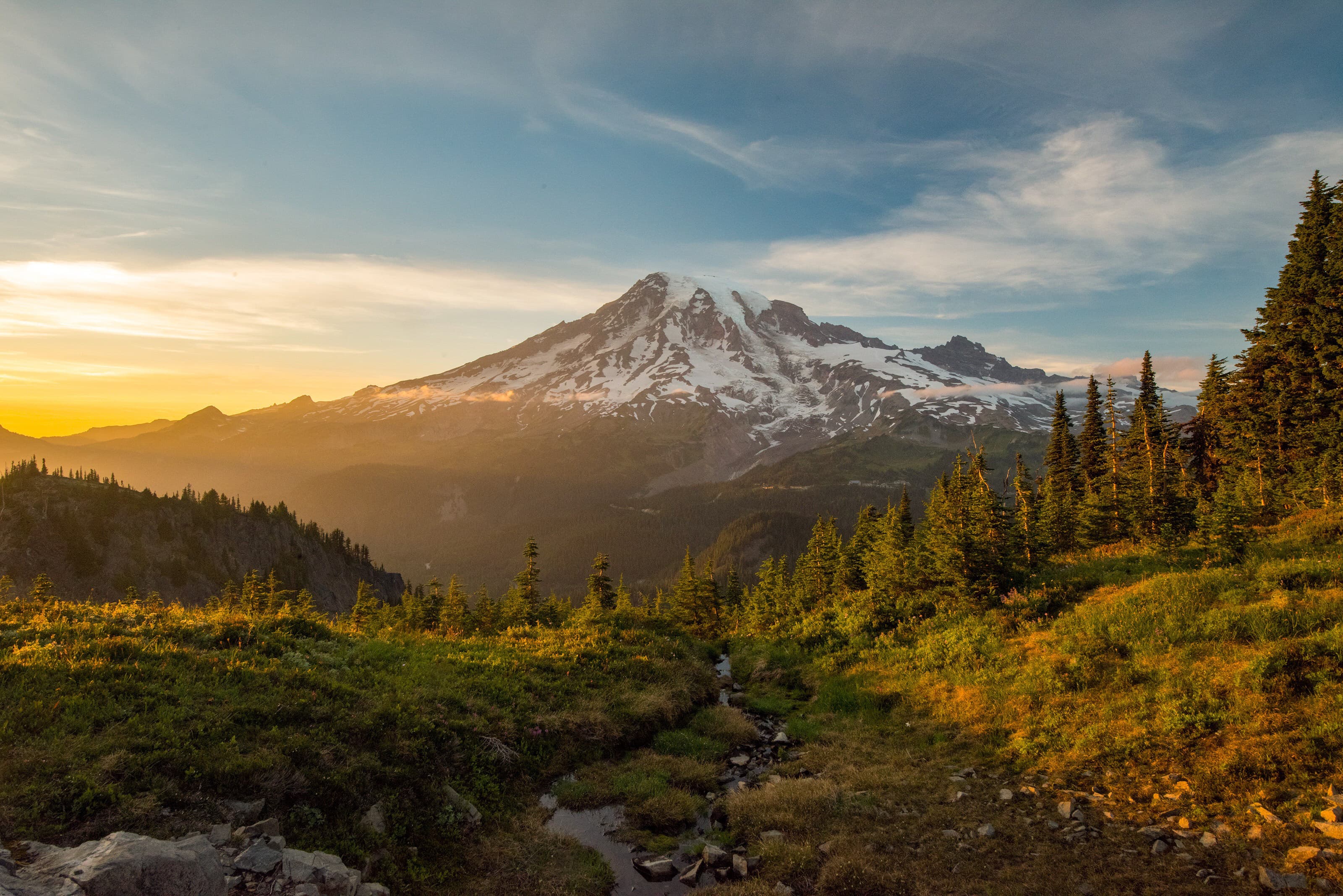 Mt. Rainier behind evergreen trees near Ashford, Washington